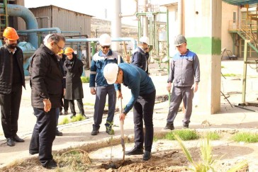 لزوم ترویج فرهنگ درختکاری در پتروشیمی خوزستان