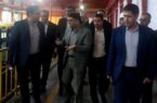 بازدید قائم مقام وزیر صمت در امور بازرگانی از واحدهای صنعتی و تولیدی استان ایلام