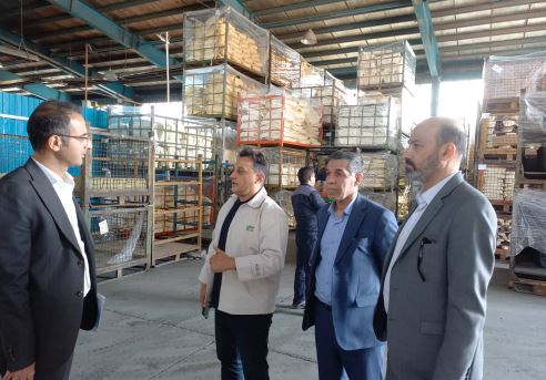 بازدید هیأت امور صنایع سازمان بازرسی کل کشور از ۳ شهرک صنعتی و ۱۲ واحد تولیدی در خراسان رضوی