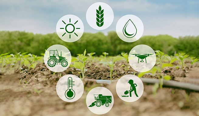 کشاورزی هوشمند: انقلابی در افزایش بهره‌وری و مدیریت منابع