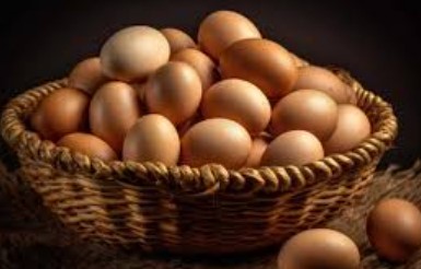 ممنوعیت صادرات تخم‌مرغ به عراق تکذیب شد