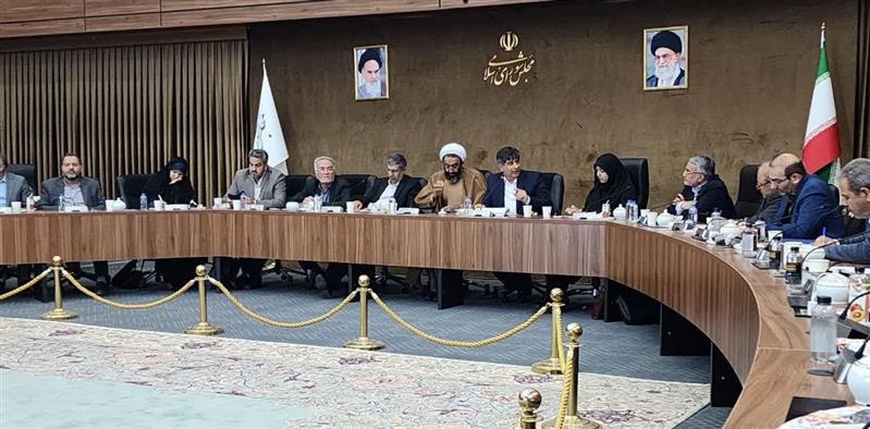 نمایندگان مجلس به کاهش محدودیت های انرژی صنایع کمک کنند/ برنامه ریزی برای عملکرد هدفمند در حوزه مسئولیت اجتماعی