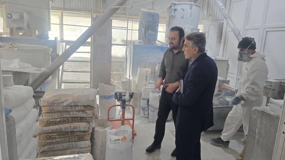 برنامه های حمایتی بانک توسعه صادرات ایران برای صنایع صادراتی استان اردبیل