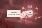 ترکیب پرتفوی بیمه ما بهینه شده است