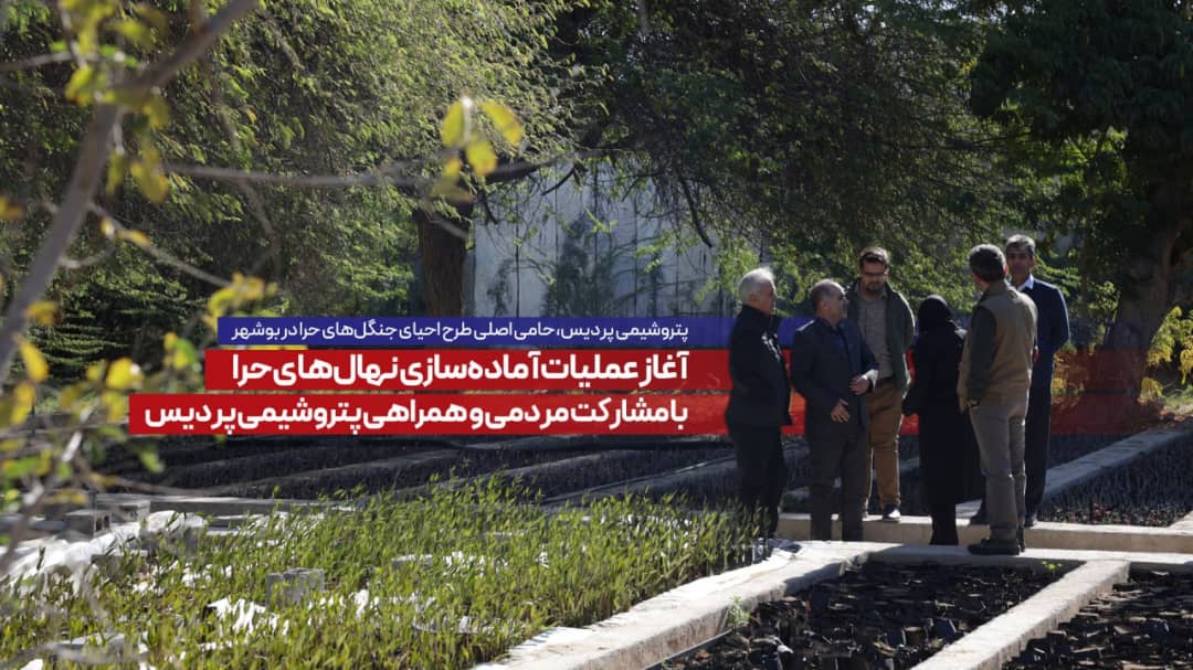 آغاز عملیات آمادهسازی نهالهای حرا با مشارکت مردمی و همراهی پتروشیمی پردیس