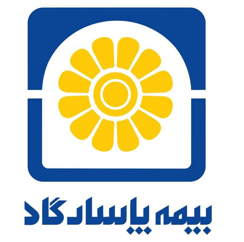 بیمه پاسارگاد، رتبه های تک رقمی، رشدهای دو رقمی