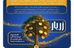 نوآوری بیمه پارسیان در حمایت از خانواده‌ها با ارایه «طرح زریار»
