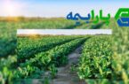 استارتاپ پارابیمه به عنوان اولین شرکت فناور در حوزه بیمه‌گری، مجوز ورود به سندباکس بیمه مرکزی را دریافت کرد