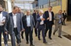 بازدید مدیرعامل بانک صنعت و معدن از ۸ طرح تولیدی در استان فارس