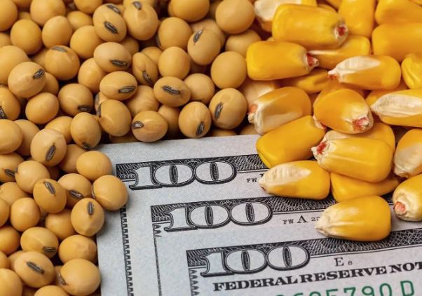 روند تامین ارز کالاهای اساسی و دارو طبق قانون بودجه ۱۴۰۴ ادامه دارد