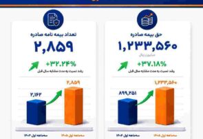 رشد ۳۷ درصدی حق‌بیمه صادره «رایان پلاس» در بیمه آسیا