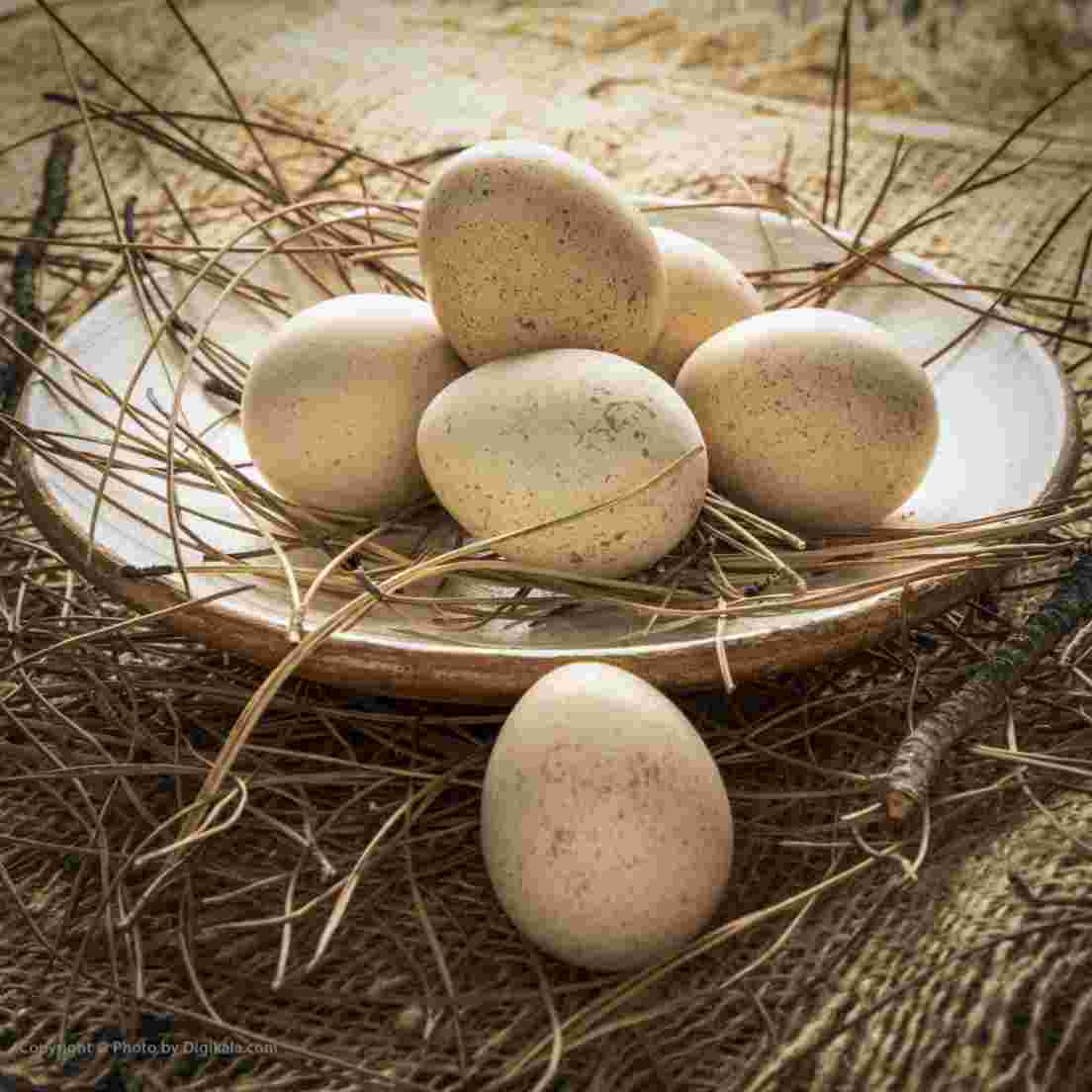 مشارکت بانک سپه برای احداث دو مدرسه در مناطق کم‌برخوردار لرستان
