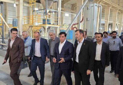 آخرین وضعیت پیشرفت طرح فولاد ازنا بررسی شد