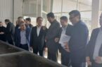 اختصاص ۲۸۰ میلیارد تومان تسهیلات بانک صنعت و معدن برای حمایت از واحدهای تولیدی شهرستان گرمی استان اردبیل