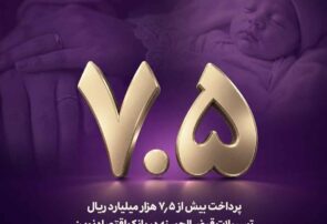 پرداخت بیش از ۷.۵ هزار میلیارد ریال تسهیلات قرض‌الحسنه در بانک اقتصادنوین